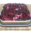 صورة من براءة هلال ، شاركها بعد تجربة وصفة تشيز كيك بالزبادي والأوريو 🍰🥛🍫👌👍