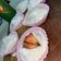 Cooksnap dari Ros Naka Ho untuk resep Cara membuat Mochi RAW CHOCOLATE STRAWBERRY DAIFUKU 「生チョコいちご大福の作り方」