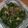 Cooksnap dari Nesca Nomera untuk resep Oseng buncis daging cincang
