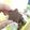 Cooksnap dari Fransiska Wardana untuk resep Chocolate ‘Tempe’ Cookies