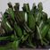 Cooksnap dari Lilis untuk resep Lemper abon bakar