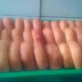 Cooksnap dari sri sopi mardayani untuk resep Donat goreng empuk