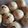 Cooksnap dari Diaz untuk resep Bakpao Menul Pemula