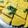 Shreya Mittal's cooksnap of when they made Dhokla.