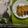 Srilekha Banik's cooksnap of when they made ঠাকুরবাড়ির পটল পোস্ত (Thakurbarir potol posto recipe in Bengali).