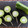 El cooksnap de Sitronella cuando hizo Paletas de pepino y queso de cabra.