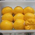 Cooksnap dari Iwie untuk resep Bakpao Labu Kuning Lembut Tanpa Obat