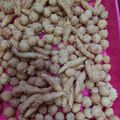 Cooksnap dari Daryati untuk resep CIPUT keciput wijen