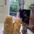 Cooksnap dari maya siska untuk resep Roti perancis / baguette homemade