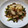 El cooksnap de Cristina Cryss cuando hizo Lomo de cerdo al horno con verduras salteada, quinoa y salsa.