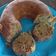 El cooksnap de Cintia Martinez cuando hizo Torta de banana y nuez en savarin 18 cm Essen.