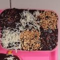 Cooksnap dari Windy Priyanto untuk resep Donat kukus lumer