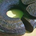 Cooksnap dari Vivi untuk resep Bolu Caramel / Bolu Sarang Semut