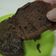 Cooksnap dari Baby bee untuk resep Brownies Magic Com Simple ala Anak kos