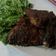 Cooksnap dari Linda Novita Sari untuk resep Gurame Bakar Kecap