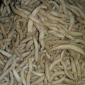 Cooksnap dari diahmansur untuk resep Telur gabus gurih