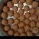 Tripti mahavri का कुकस्नैप जब उन्होंने आटे के लड्डू (aate ke laddu recipe in hindi) बनाया था।