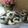 Cooksnap dari Resika_Djo untuk resep Oreo Chrunchy Cookies