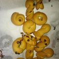 Cooksnap από NtinaN στη συνταγή Κουλουράκια νόστιμα