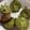 Cooksnap dari Ameera untuk resep Kue Cubit Green Tea
