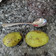 Liat Suvorov's cooksnap of when they made Papaya bread/cake.