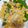 賴小孟 的 金針菇豆莢炒玉米 cooksnap