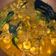 Cooksnap dari Lian Richi untuk resep Udeung (udang) Phep Aceh