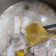 Cooksnap dari Nurliana Apsari untuk resep SOTO BANDUNG, BANDUNG