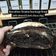 Cooksnap dari afrianidewi untuk resep Sourdough Brownie
