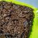 Cooksnap dari azwita untuk resep Brownies kukus ala amanda (takaran sendok)