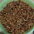 Cooksnap dari Ratna Tri untuk resep Sambal kering tempe teri kacang