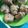 Cooksnap dari hannah_ untuk resep Pergedel Tahu