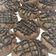 Cooksnap dari Yulia Susana untuk resep Triple Chocolate Cookies