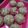 Cooksnap dari Branisnari untuk resep Bolu kukus gula merah