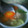 Cooksnap dari Andra Tersiana untuk resep sop bakso lengkap