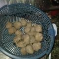 Cooksnap dari Tiyafif untuk resep Pentol Cilok Daging Sapi Anti Gagal(Beef Starch Balls)