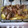 El cooksnap de Natalia Carmona cuando hizo Chuletas de cordero al horno.