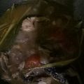 Cooksnap dari Keinarra Kiandra untuk resep Pindang Patin Asam Manis