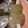 aka_p9lka's cooksnap of when they made Vickys Limoncello Liqueur, Christmas Gift Idea.