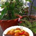 Nandita Mukherjee's cooksnap of when they made ছানার ডালনা (Chanar dalna recipe in bengali).