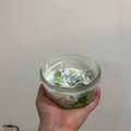 Trista 's cooksnap of when they made Cucumber & Celery Yoghurt Salad.