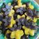 Cooksnap dari Yenny Sandra untuk resep 🍰Kue Labu Kuning Kukus Legit