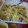 Bushra Mazhar's cooksnap of when they made Fried macaroni with minced meat garnish with fresh parsely.