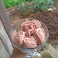 Cooksnap dari Nanan Wahyuni untuk resep Ice Cream Chocolate