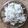 Shah Anupama's cooksnap of when they made Coconut chutney.