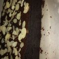 Cooksnap dari Anissa S. Fitri untuk resep Fudgy shiny Brownies di oven tangkring