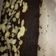 Cooksnap dari Anissa S. Fitri untuk resep Fudgy shiny Brownies di oven tangkring