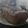 El cooksnap de Daniela Orsi cuando hizo Pan de Harina Integral con Semillas.
