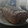 El cooksnap de Daniela Orsi cuando hizo Pan de Harina Integral con Semillas.