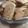 El cooksnap de Cynnthia Piccolo🕉 cuando hizo Galletitas rueditas.